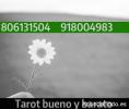 Tarot real y sincero, llámanos